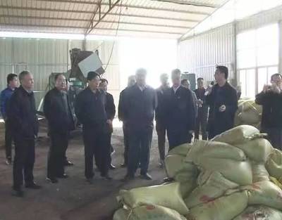 省政协领导调研范县畜禽粪污处理利用设施建设和运行情况
