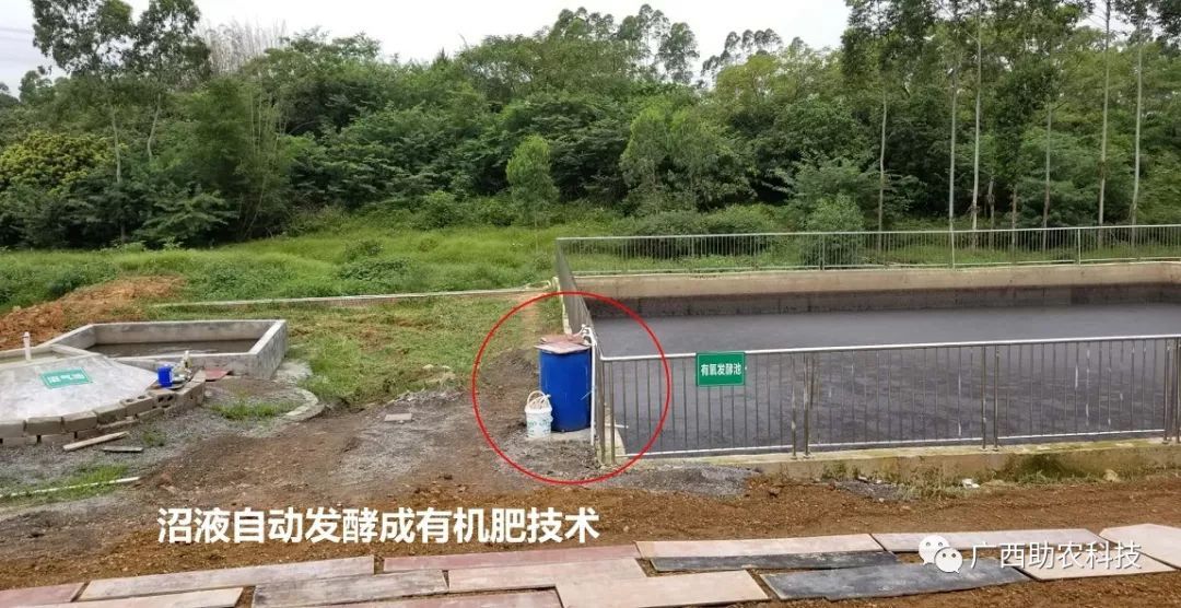 科技赋能绿色养殖——广西助农粪污一体化处理模式获玉林市现场会肯定并推广