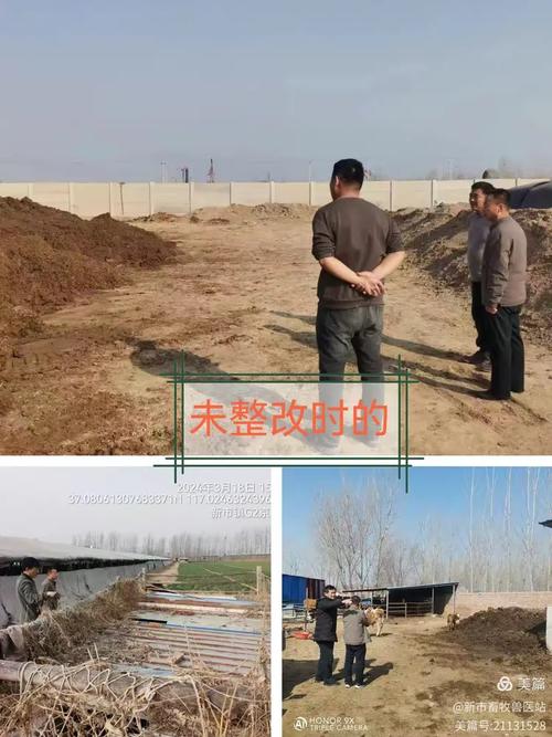 狠抓畜禽粪污综合利用 促进畜牧业持续健康发展