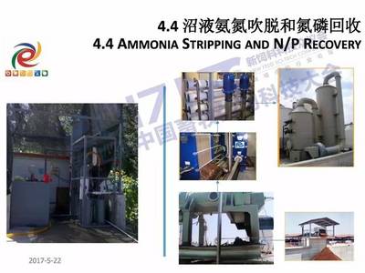畜禽养殖粪污处理与资源化利用可行性技术分析——中国农业大学研究视角