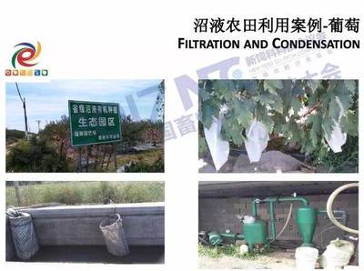 畜禽养殖粪污处理与资源化利用可行性技术分析