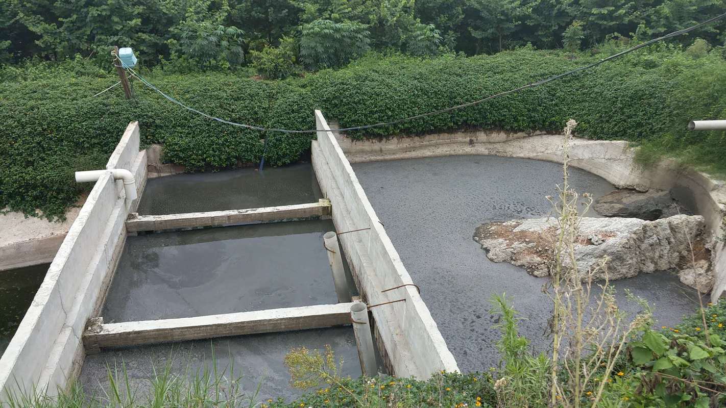 污水处理微生物在沼气池与粪污池中的应用及畜禽粪污资源化利用